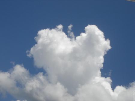 nuage